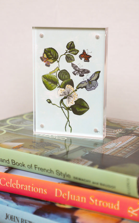 Botanical 4x6 Acrylic Print